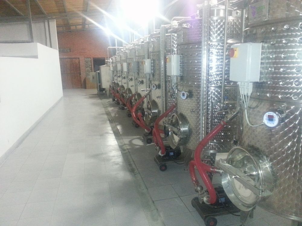 Частная винодельня Зимовца